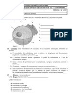 Ficha Gerais de Exercicios N.º1 - Biologia 11 Ano III T 2020