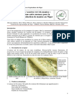 Acarien Vert Du Manioc 2018