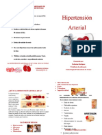 Hipertension Arterial Diptico