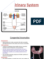 1 RENAL Glomerular Nephrotic2016