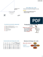 A - 5 TCC Slides Frango de Corte