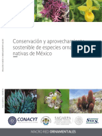 Ornamentales Digital PDF