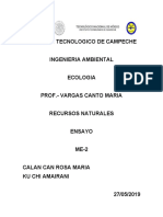 Recursos Naturales Ensayo