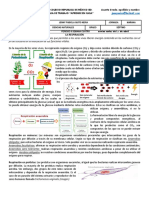 Biología Cuarta y Quinta Semana