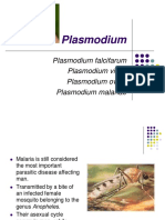 Plasmodium