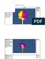 Biotk Psicofisiologia