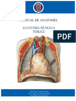 Manual de Anatomía de Tórax