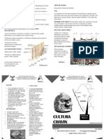 CULTURA CARAL Resumen FINAL