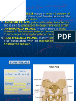 Female Pelvis