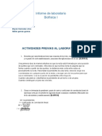 Informe Laboratorio Fisica