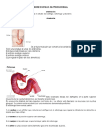 Serie Esofago Gastroduodenal