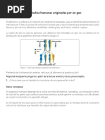 ANEXO 1.anomalías Humanas Originadas Por Un Gen