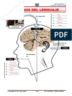 FUNCIONES DEL LENGUAJE-resuelto PDF