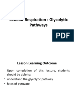 Cellular Respiration: Glycolytic Pathways