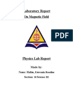 Laboratory Report Physics