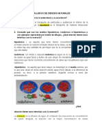 Actividades Del Taller N1 Ciencias Naturales Nikol Vanessa Muete Jimenez