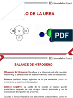 4.3 Ciclo de La Urea