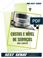 Custos e Nível de Serviços PDF