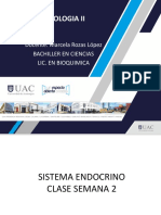 Sistema Endocrino Clase 2 PDF