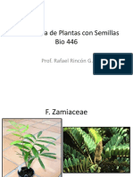 Sistemática de Plantas Con Semillas