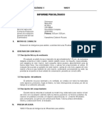 Informe Psicologico