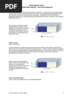 Liberty Medical Group Detailed Ratio Analysis - Two-Year Comparison