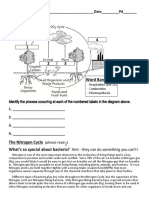 Carbon Cycle Nitrogen Cycle Diagrams