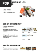 Clasificación de Los Pescados