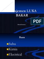 Manajemen Luka Bakar New