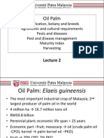 LECTURE 2 Tanaman Kelapa Sawit
