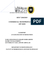 Lab Report Acclimatization of Hemianthus