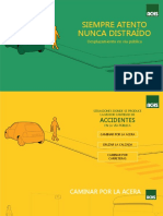 Desplazamiento Via Publica V01