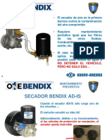 AD-IS Benef 1 PDF