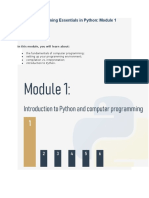 Programming Essentials in Python: Module 1