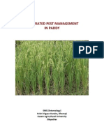 Case Study: Intergrated Pest Management in The Paddy