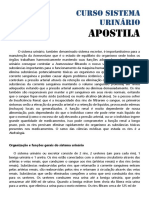 Apostila Urinário PDF