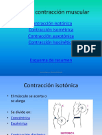 Tipos de Contracción Muscular