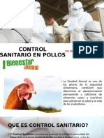 Manejo y Control Sanitario en Aves de Corral