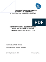 Historia Clínica de Enfermería Y Pae Aplicado A Persona Embarazada, Veracruz, Ver