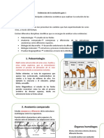 Guia N°5 Primero Medio Biología