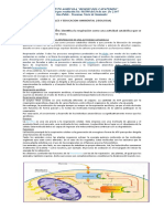 Taller Biologia 7° (Enviar)