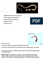 Tapeworms: Diphyllobothrium Latum-Fish Tapeworm Taenia Saginata - Beef Tapeworm Taenia Solium - Pork Tapeworm