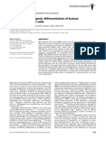 Inhibition of Osteogenic Differentiation of Human Mesenchymal Stem Cells