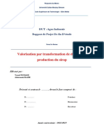 Rapport Pfe V 1-4