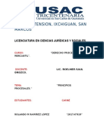 Resumen y Analisis de Los Principios Procesales