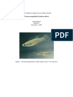 Pacific Northwest Aquatic Invasive Species Profile:: Western Mosquitofish (Gambusia Affinis)