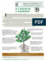 Entendendo o Algodoeiro PDF