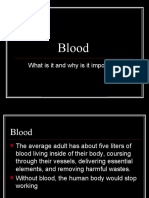 Blood: What Is It and Why Is It Important?