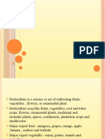 Dewraj PPT On Wto On Horticulture