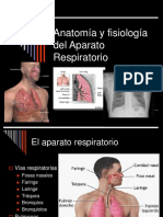 Fisiología Respiración PDF